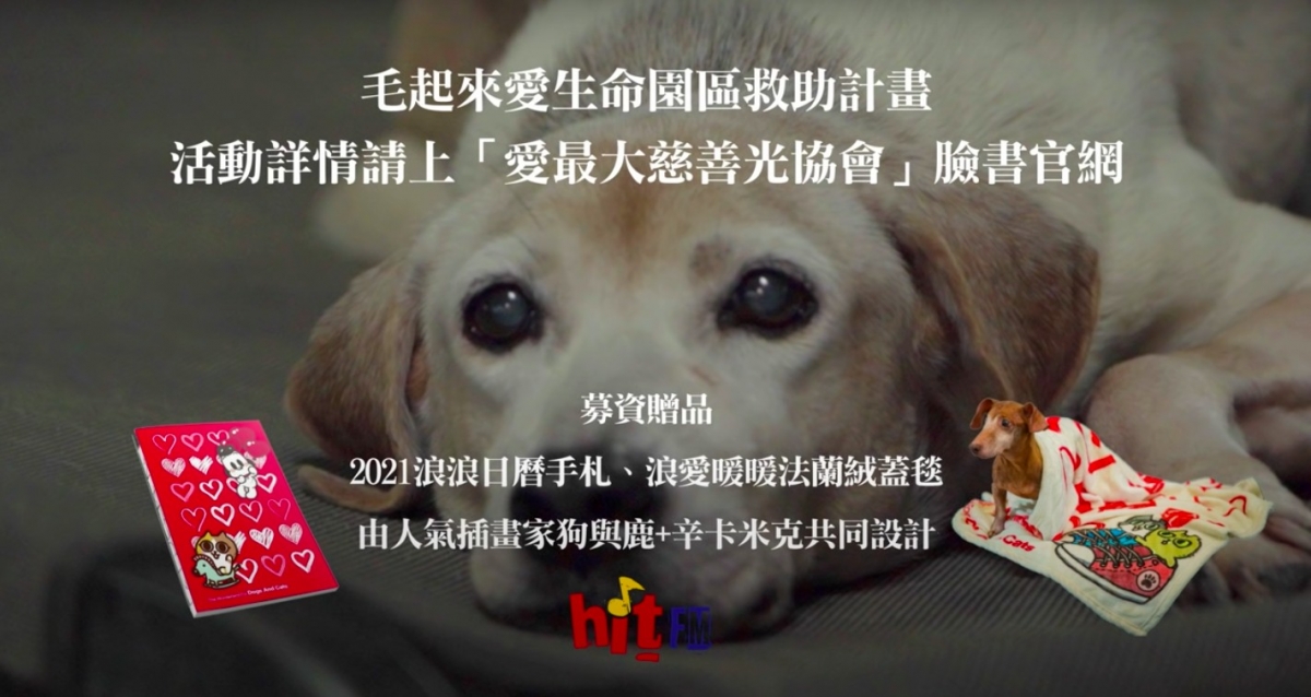 愛最大慈善光協會