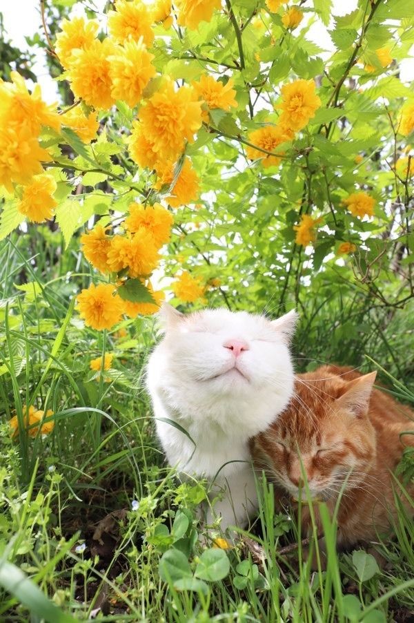 10_10 Foto on Twitter