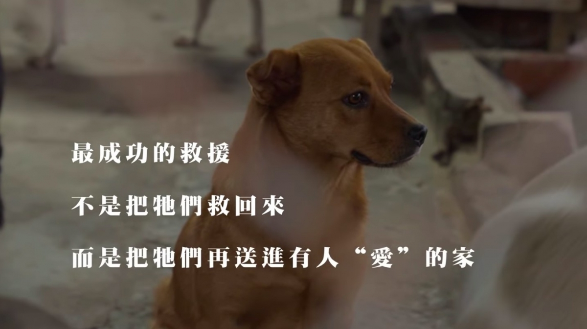 愛最大慈善光協會