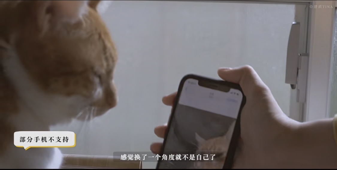 小紅書@清酒Tina
