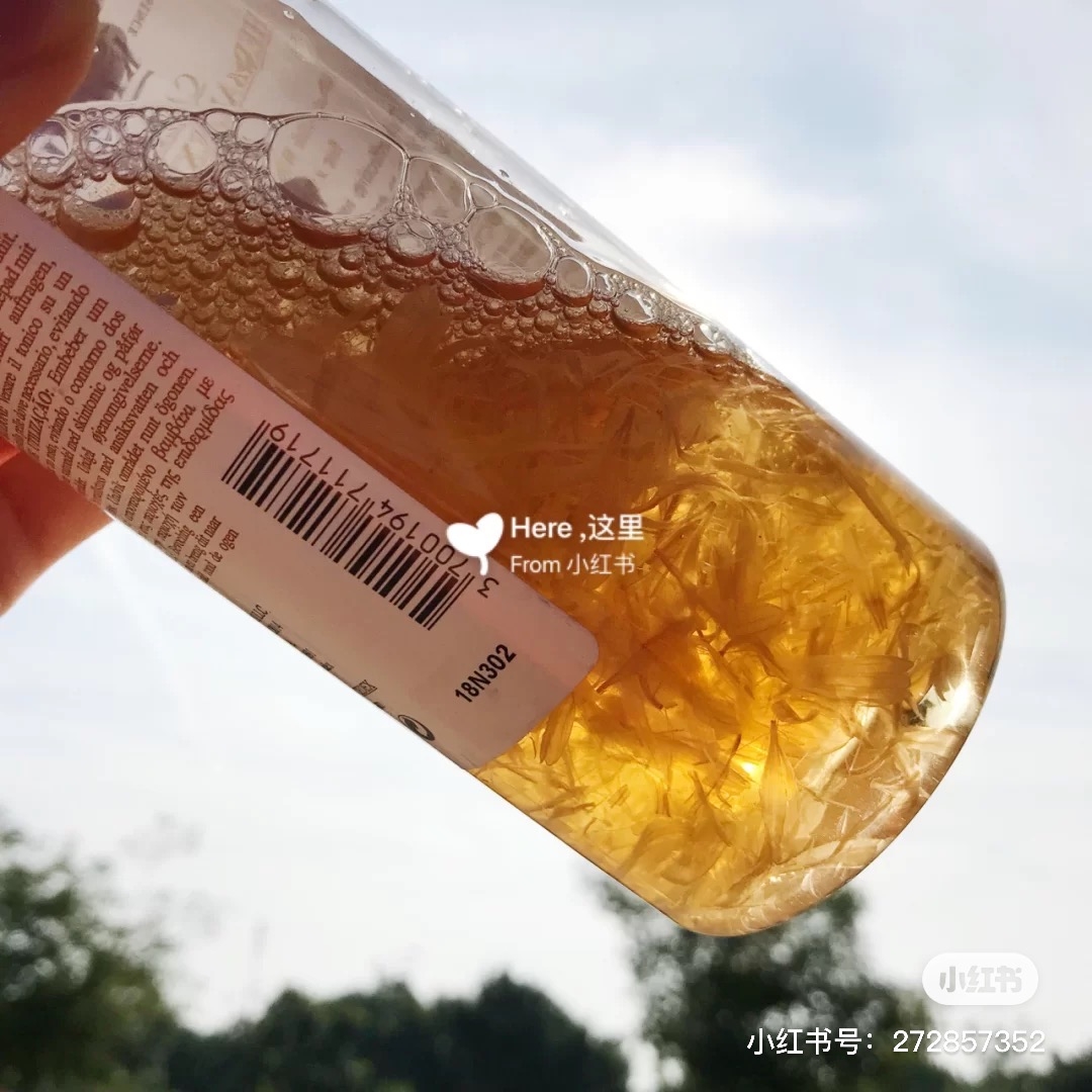 契爾氏金盞花