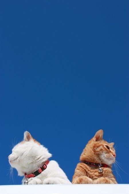 518bc872-4105-4f76-9eed-d8b7958214f0