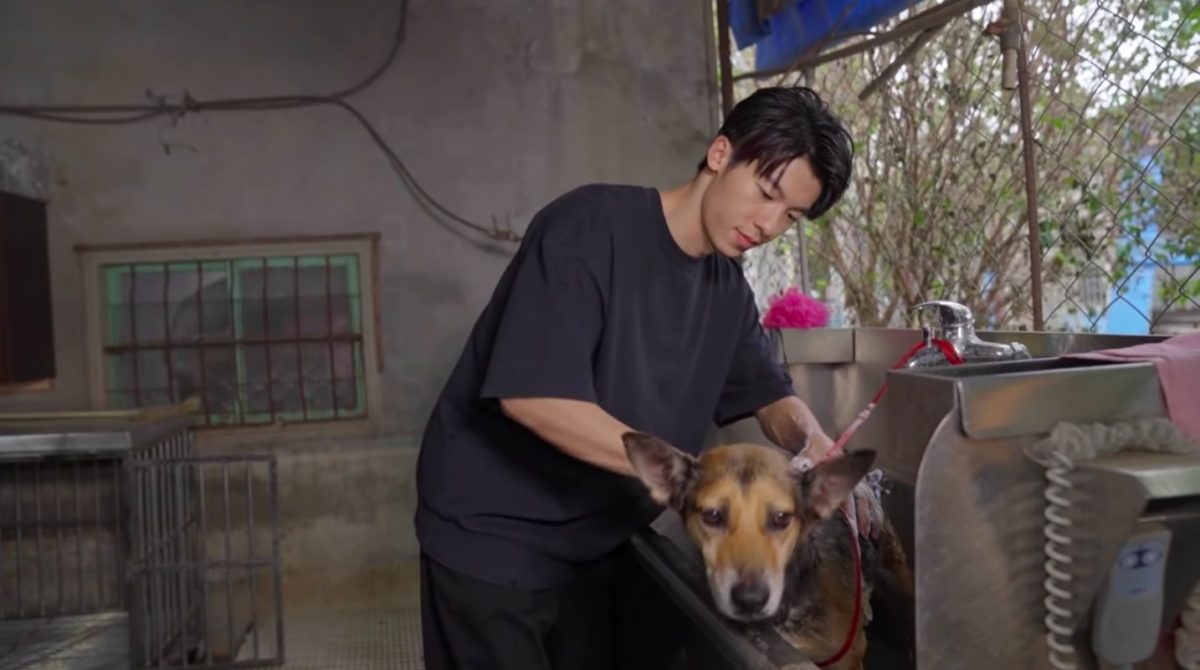 愛最大慈善光協會