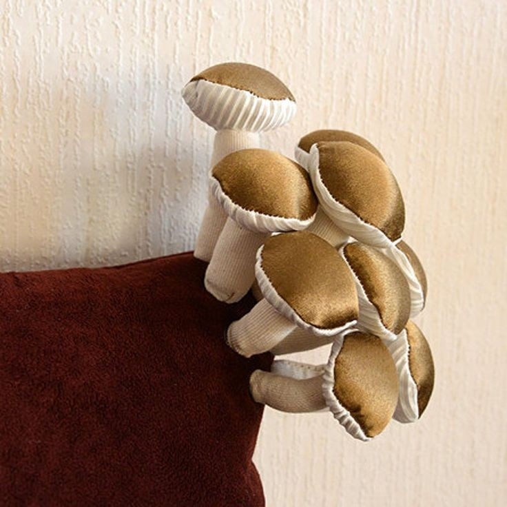 Twitter@arekorekawaii