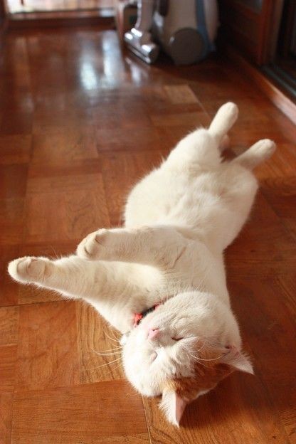 IMG_2025 - みんなの写真コミュニティ「フォト蔵」