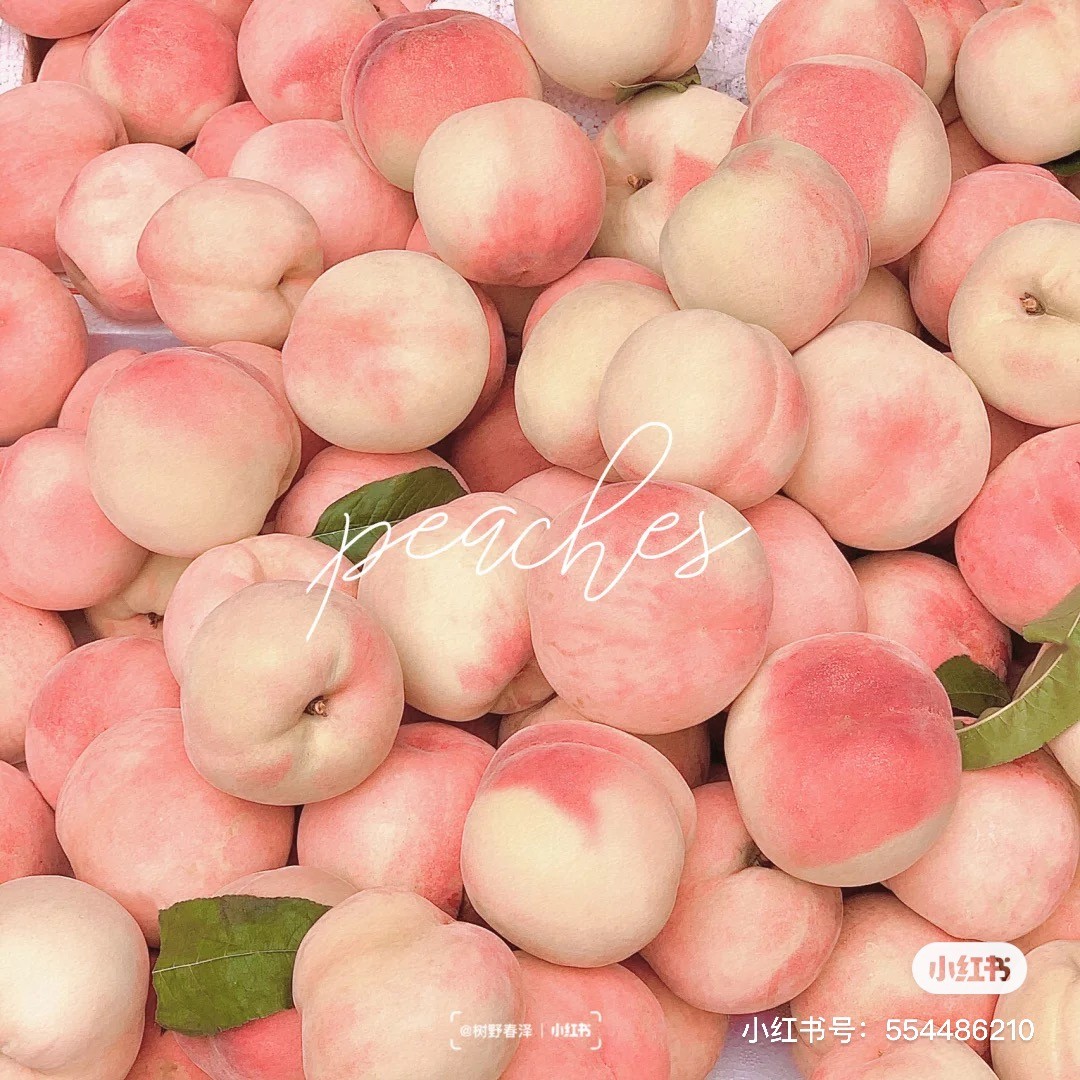 小紅書@樹野春澤