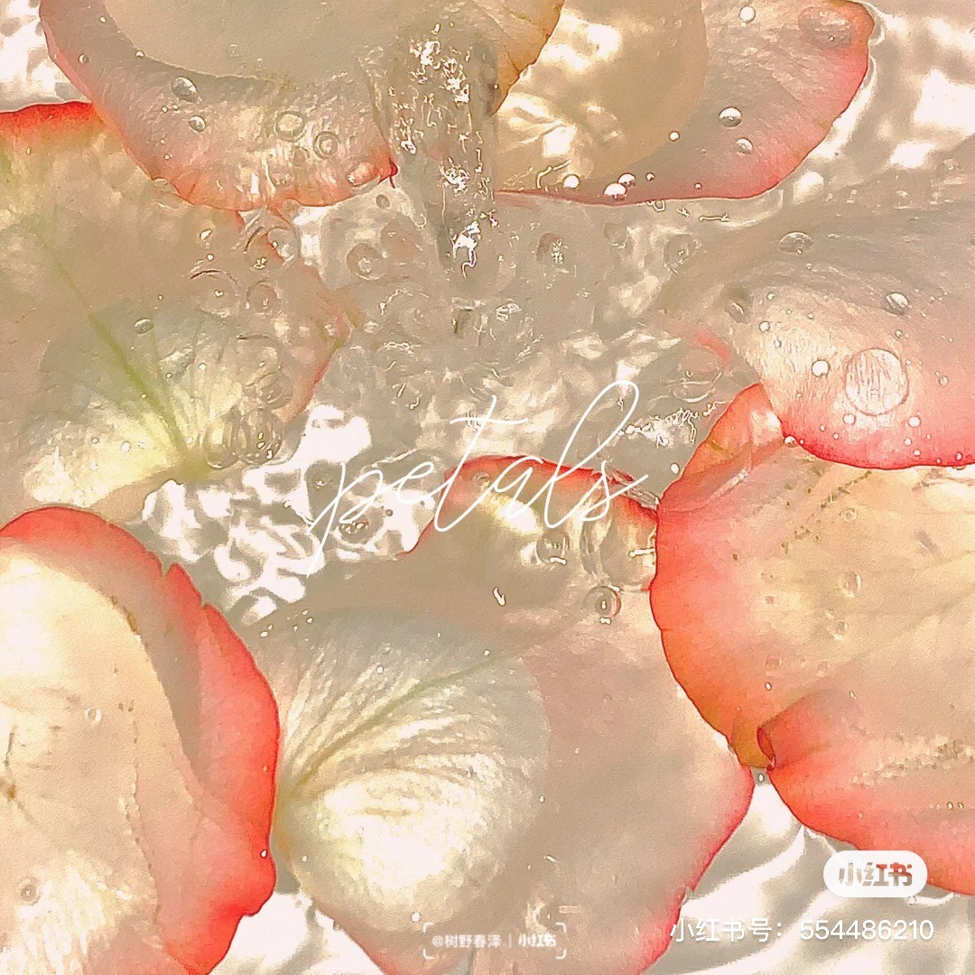 小紅書@樹野春澤