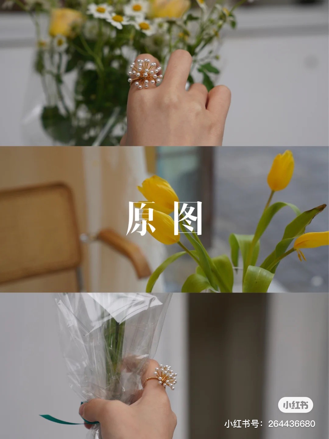 小紅書@藍顏Memorie