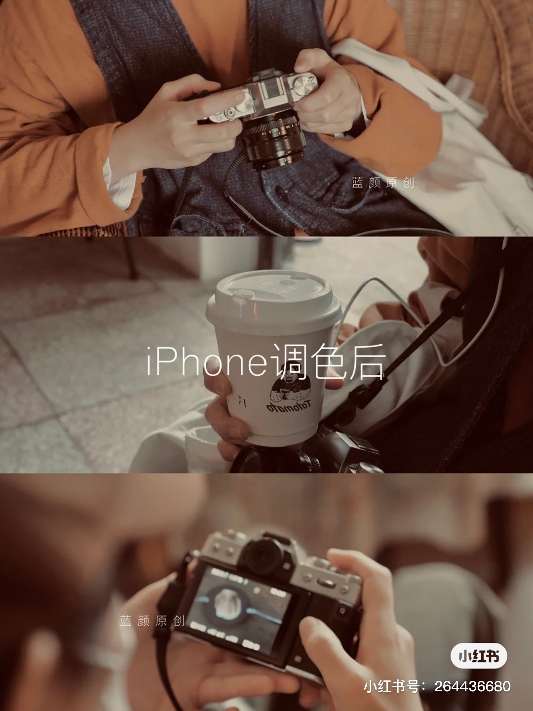 小紅書@藍顏Memorie