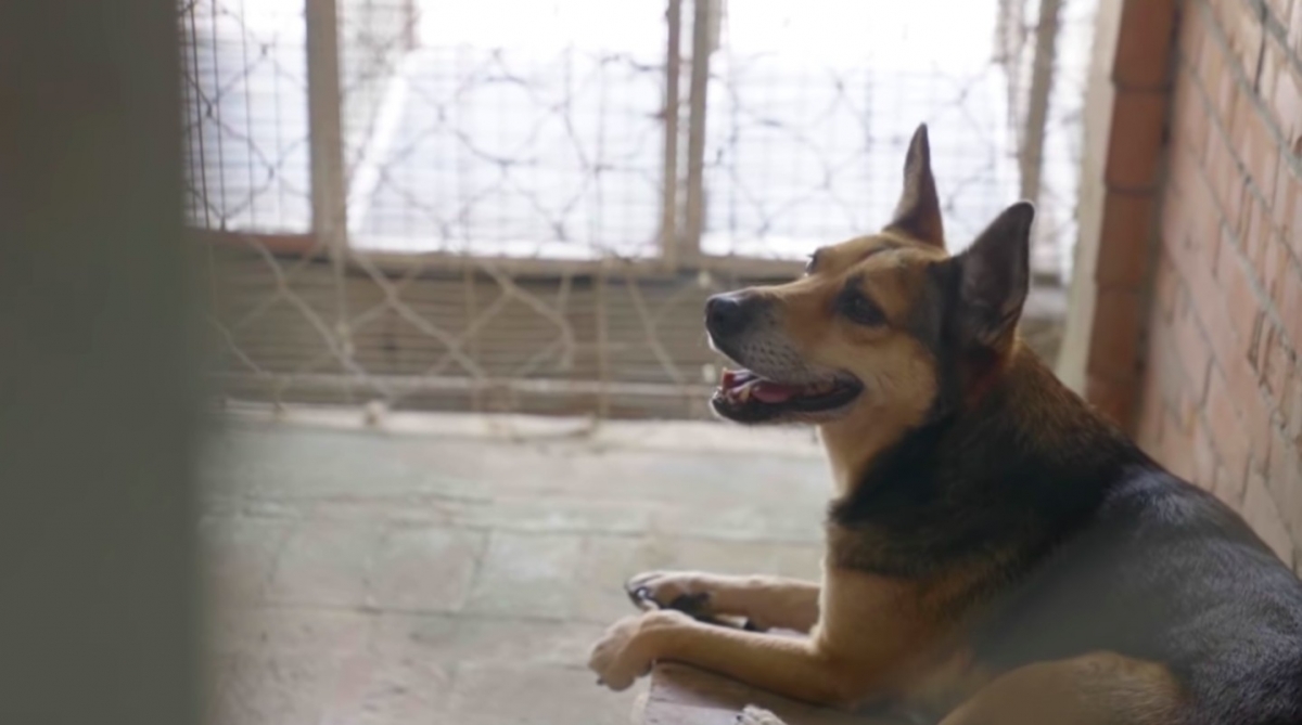 愛最大慈善光協會