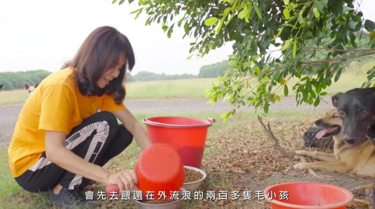 愛最大慈善光協會