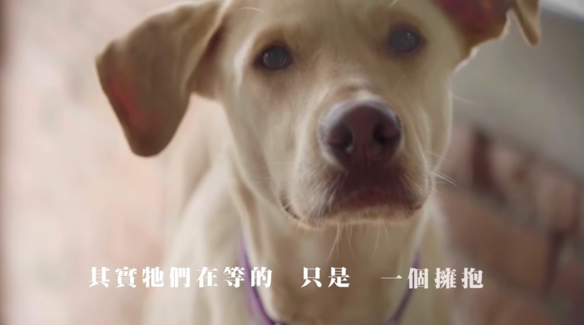 愛最大慈善光協會