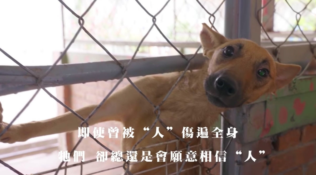 愛最大慈善光協會