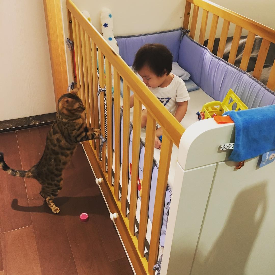 IG@june_tsai1976