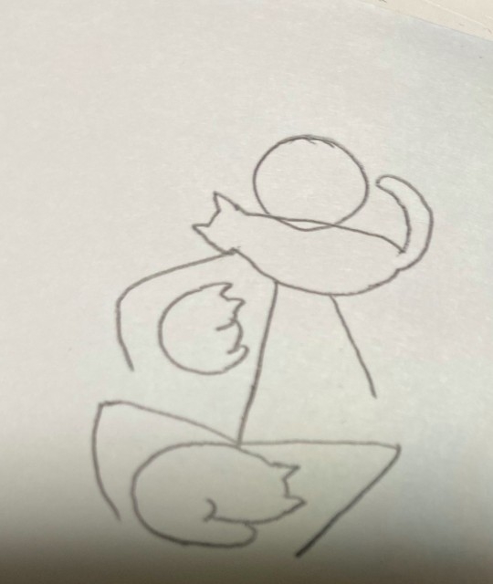 Twitter@sakusakusaku34