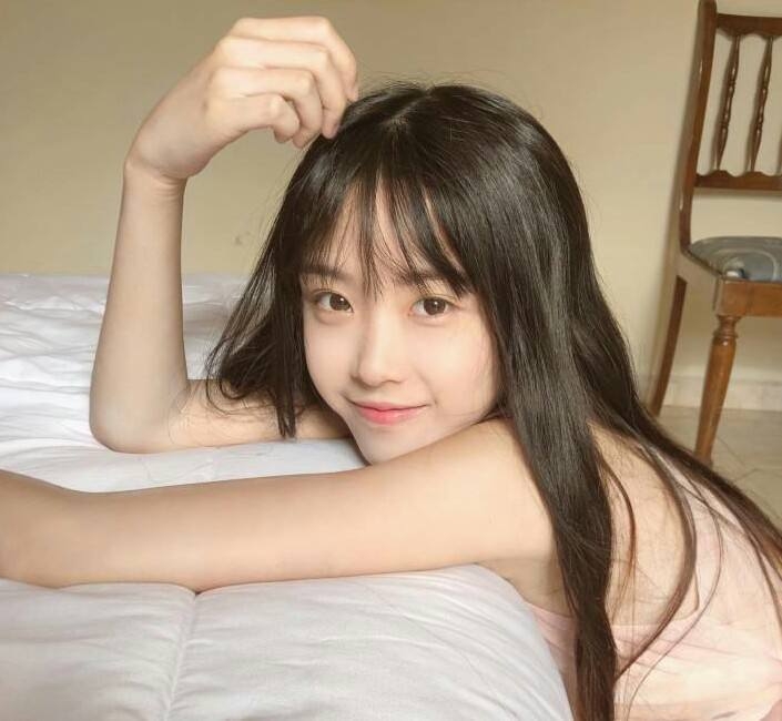 半藏森林