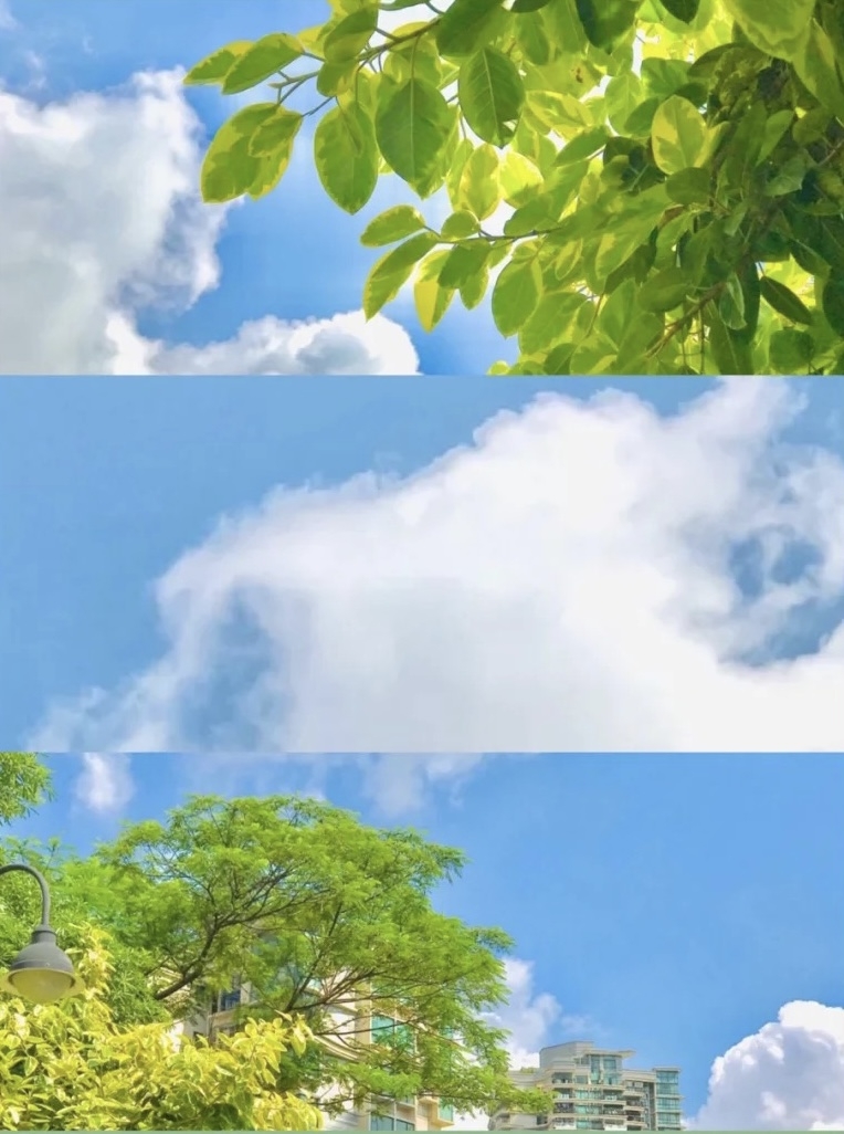 小紅書＠Lemon_大萌