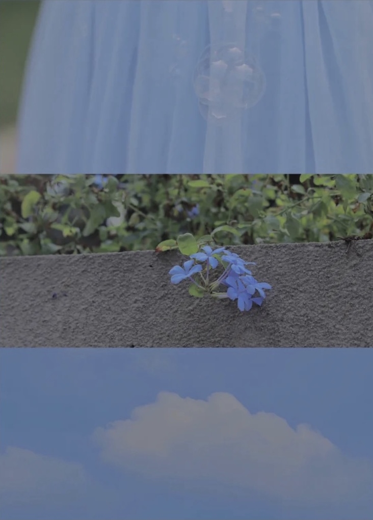 小紅書＠Lemon_大萌