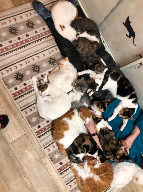 Twitter@pnho3zreVt1npF5