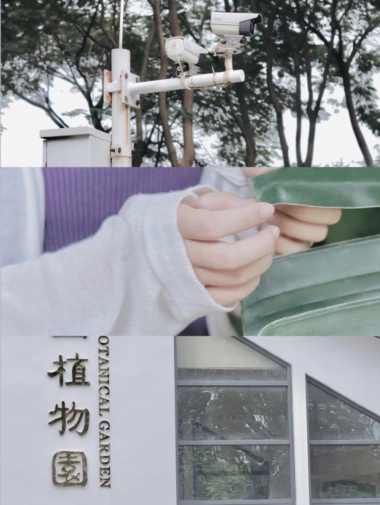 小紅書＠Lemon_大萌