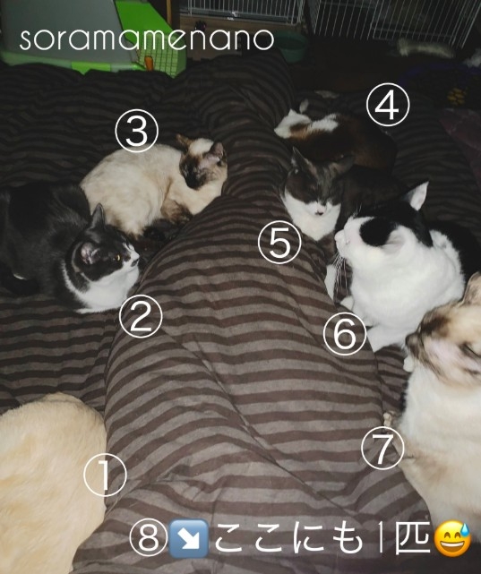 Twitter@hlrpwO3rdIz7hAD