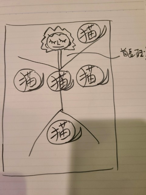 Twitter@catteacher1191