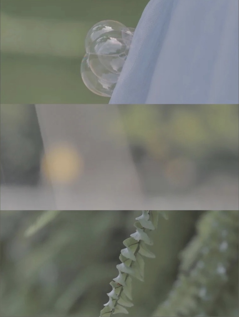 小紅書＠Lemon_大萌