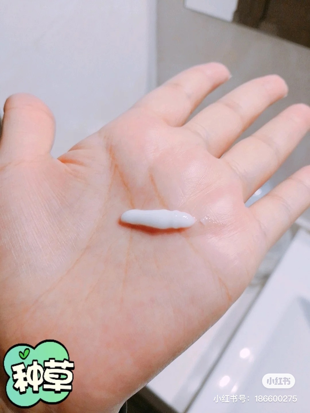 修護乳液