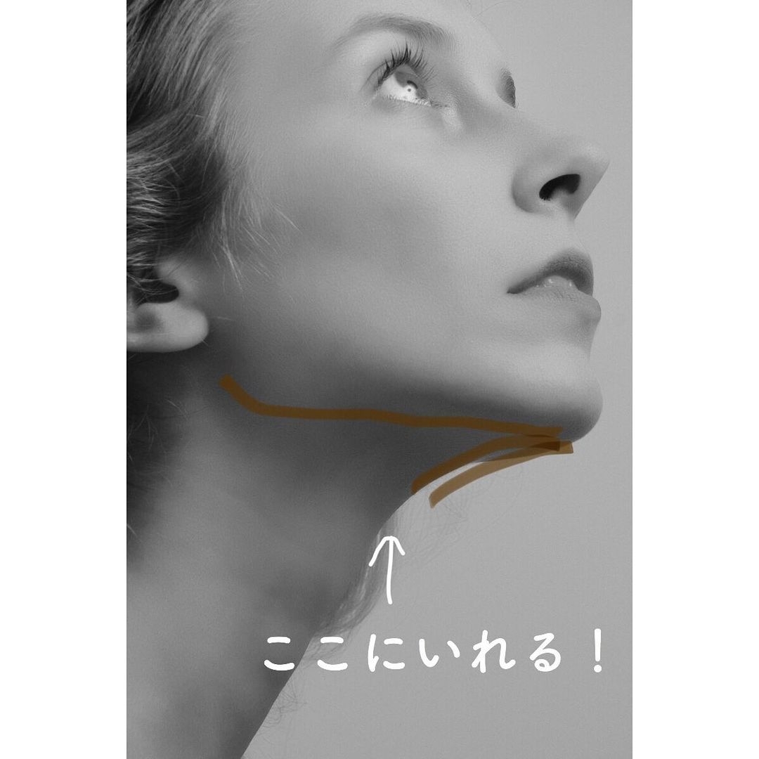ZOOM視訊妝