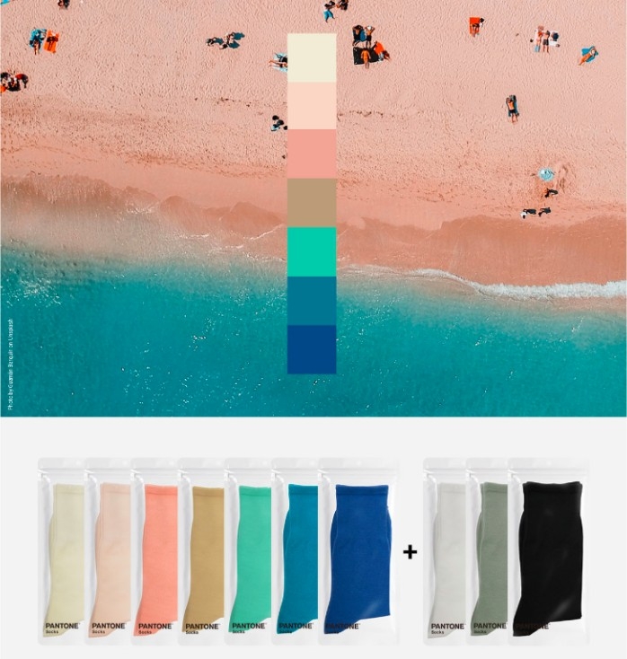 Pantone Socks