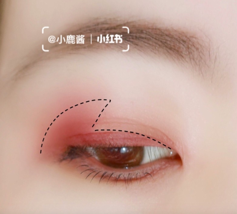 小紅書＠小鹿醬