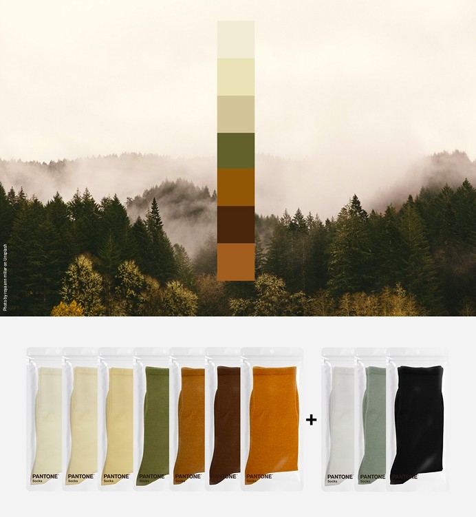 Pantone Socks