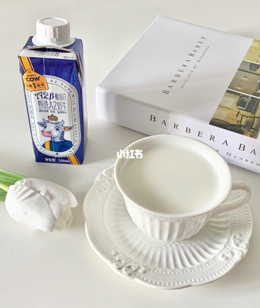 小紅書@晚风抚夏