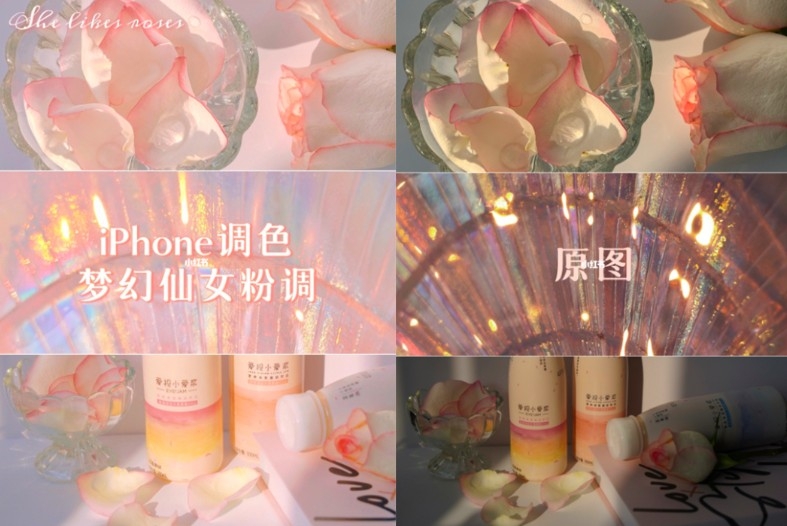 小紅書@晚风抚夏