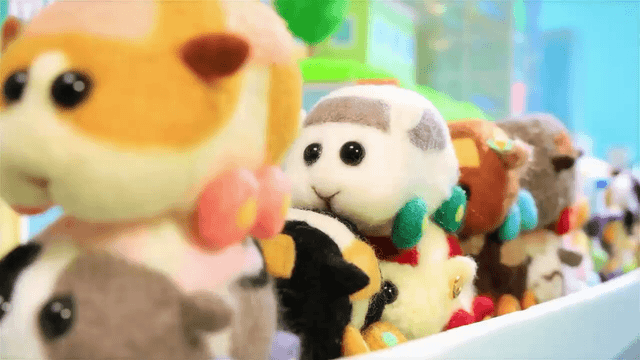 PUI PUI 天竺鼠車車