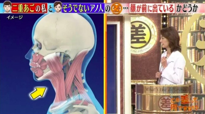 《この差って何ですか?》