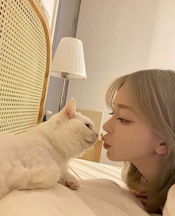 IG@taeri__taeri