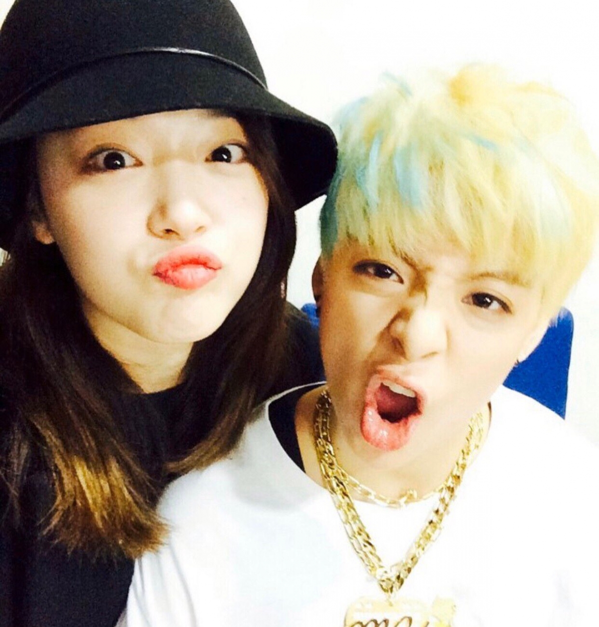 IG@ajol_llama 