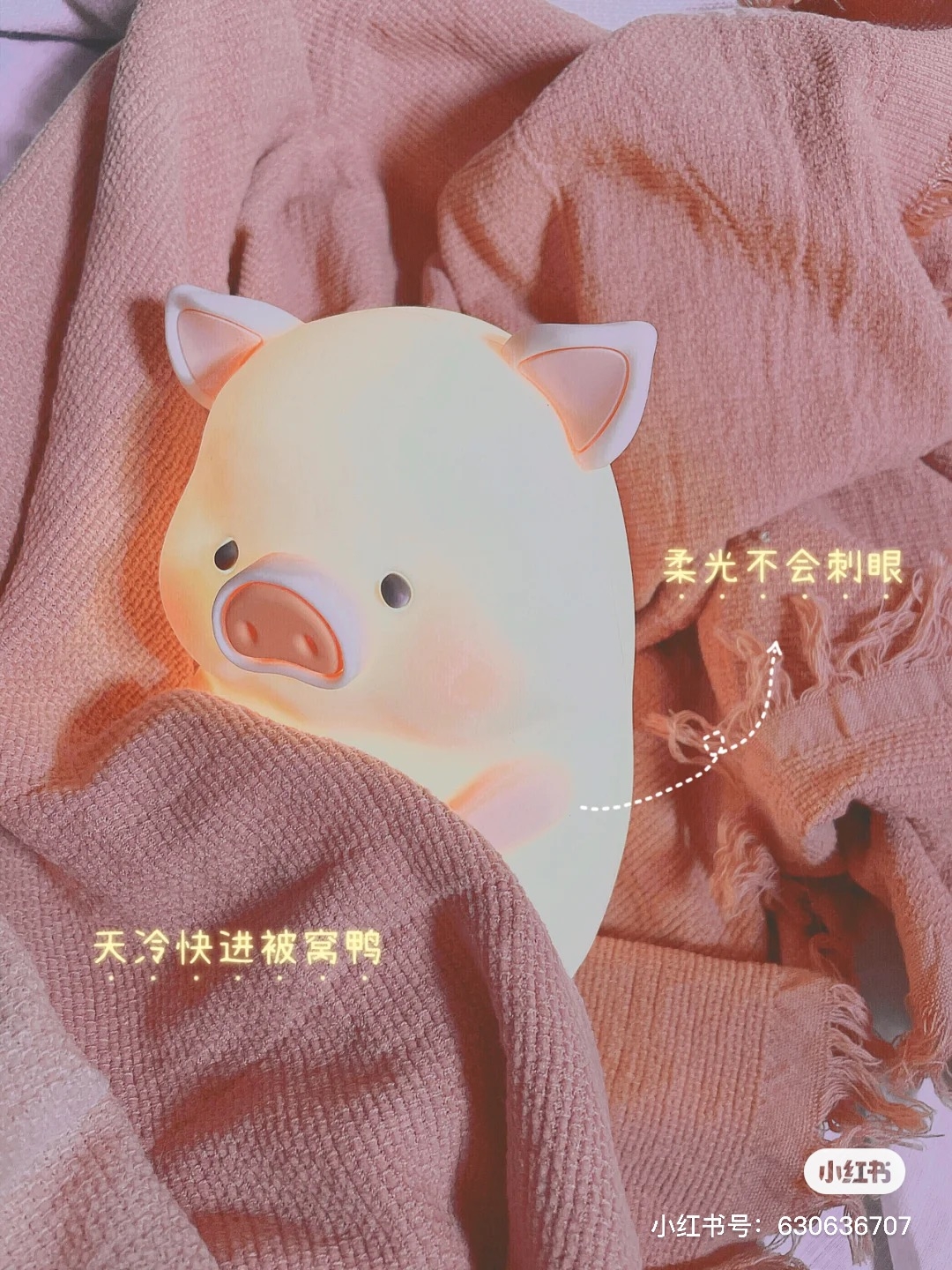 小紅書@一加