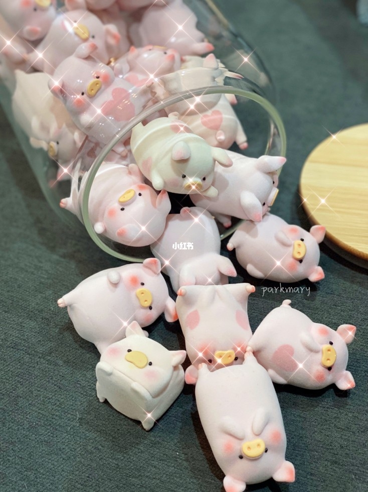 罐頭豬LuLu