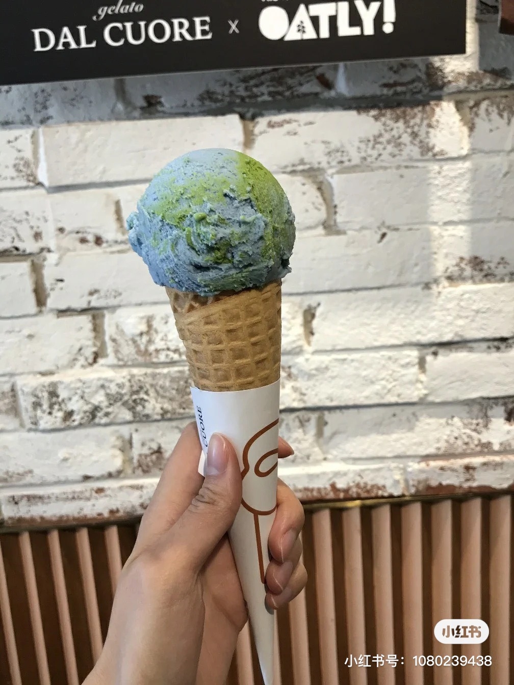 小紅書@我叫诗诗