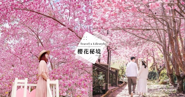 免出國就能看到！盤點全台6處「粉嫩色櫻花秘境」抓緊花季尾巴～這週末就去♡