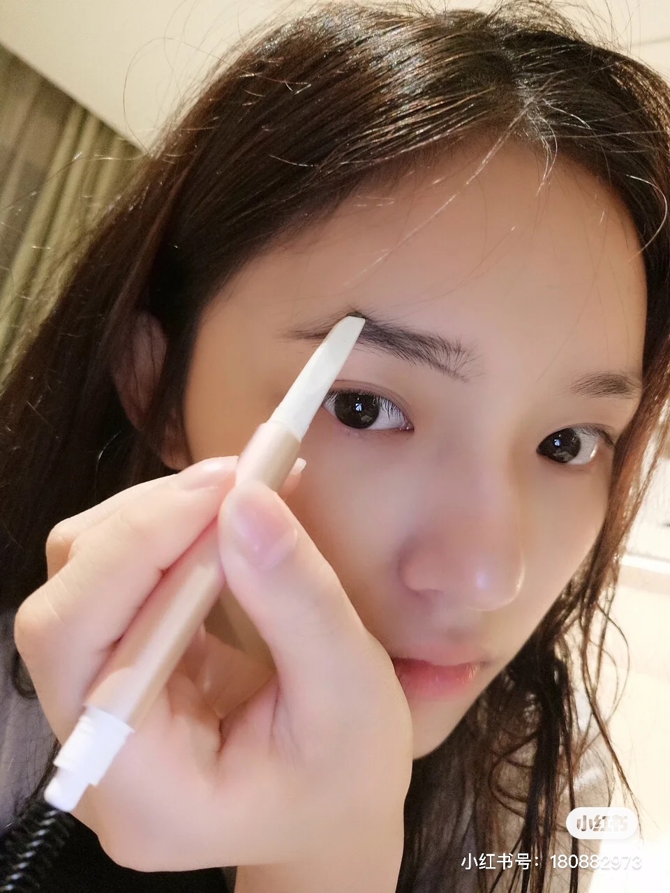 2021畫眉