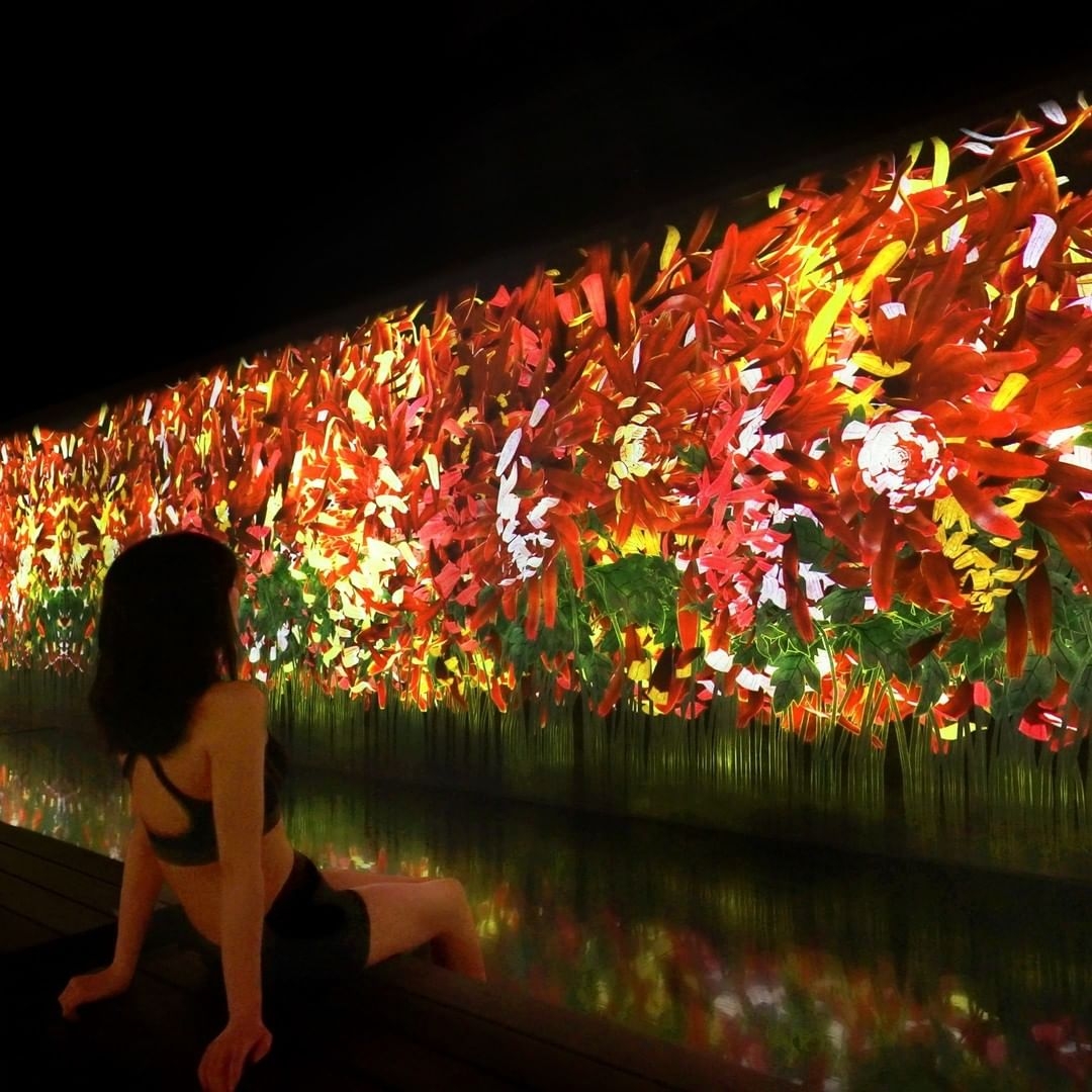 IG@teamlab