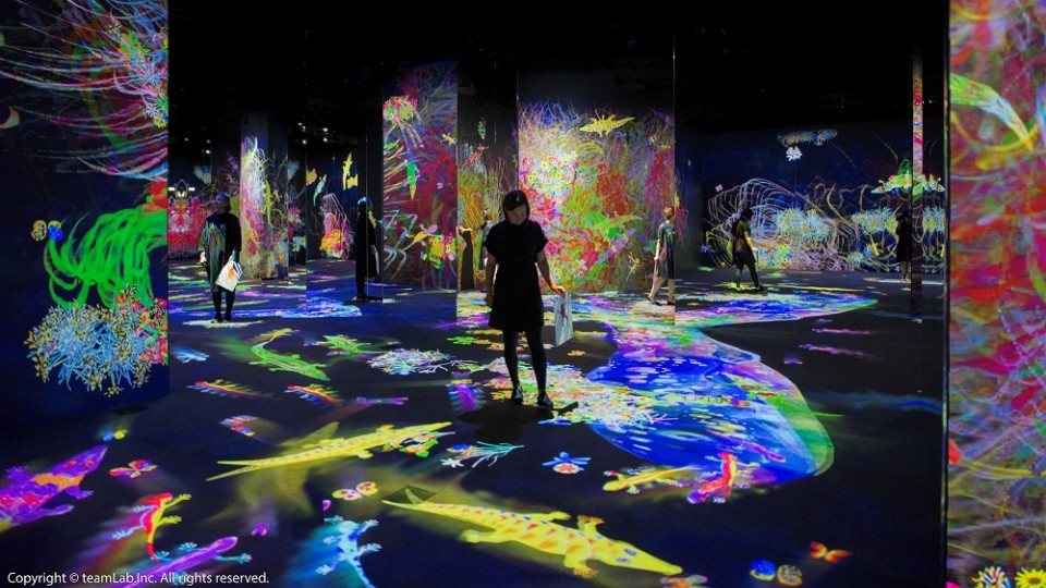 teamLab