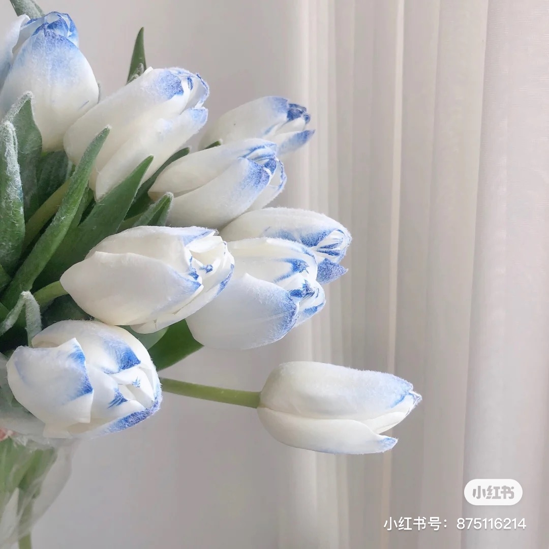 小紅書＠桔夕沙律花藝研習