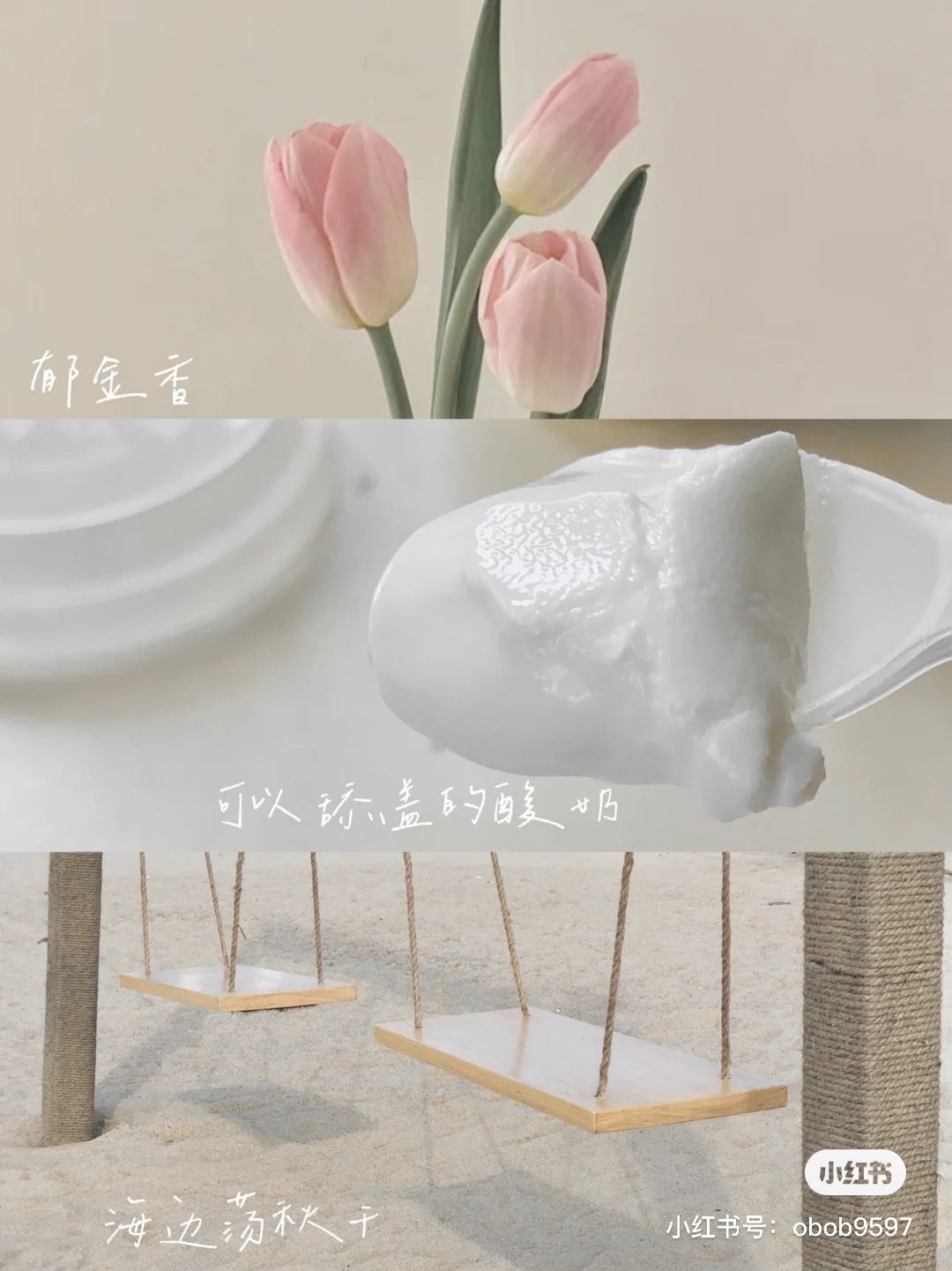 小紅書@快樂小黃