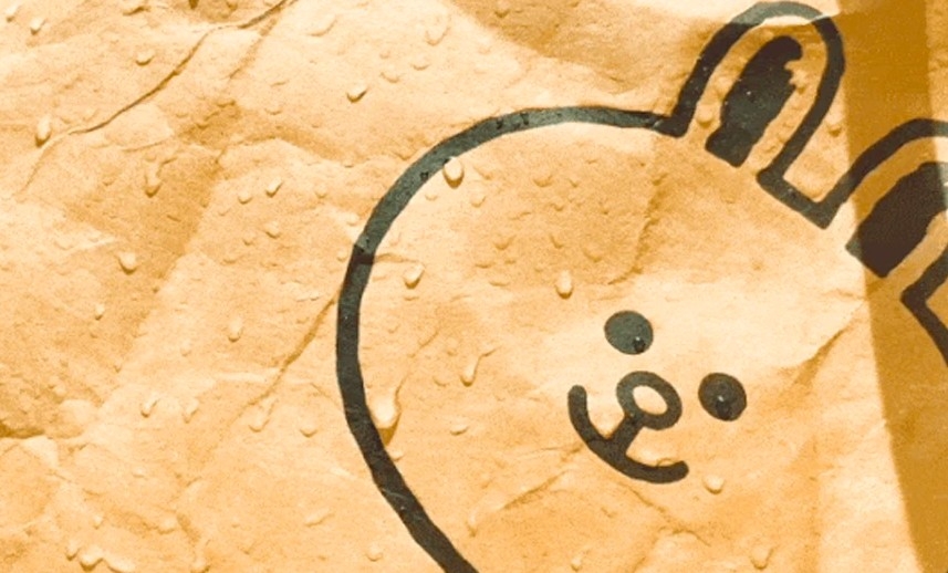 LINE FRIENDS