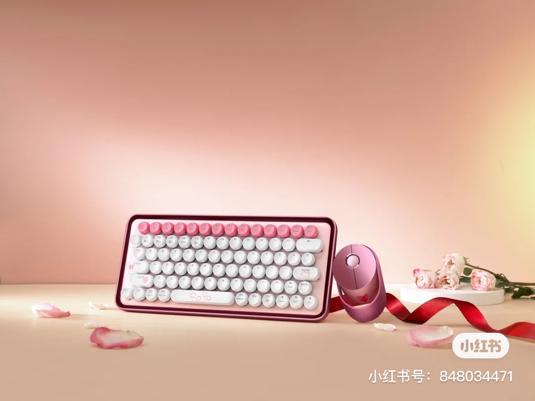 小紅書@RAPOO