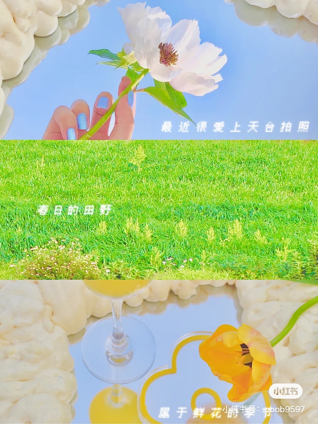 小紅書@快樂小黃